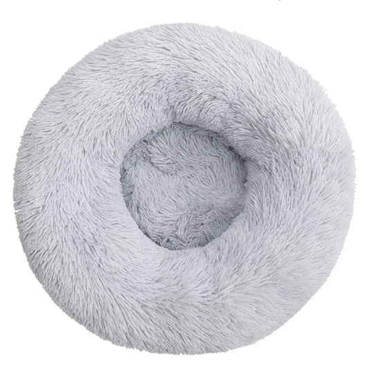 Lit Donut